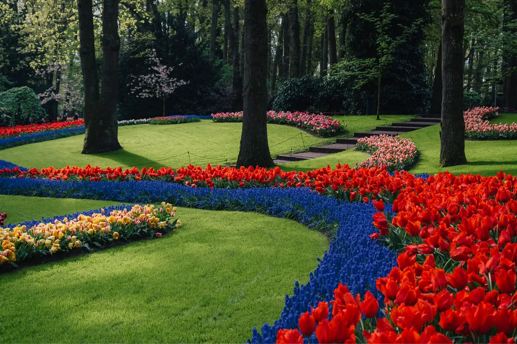 2025_wk17_thonik_keukenhof01_print-30.jpg