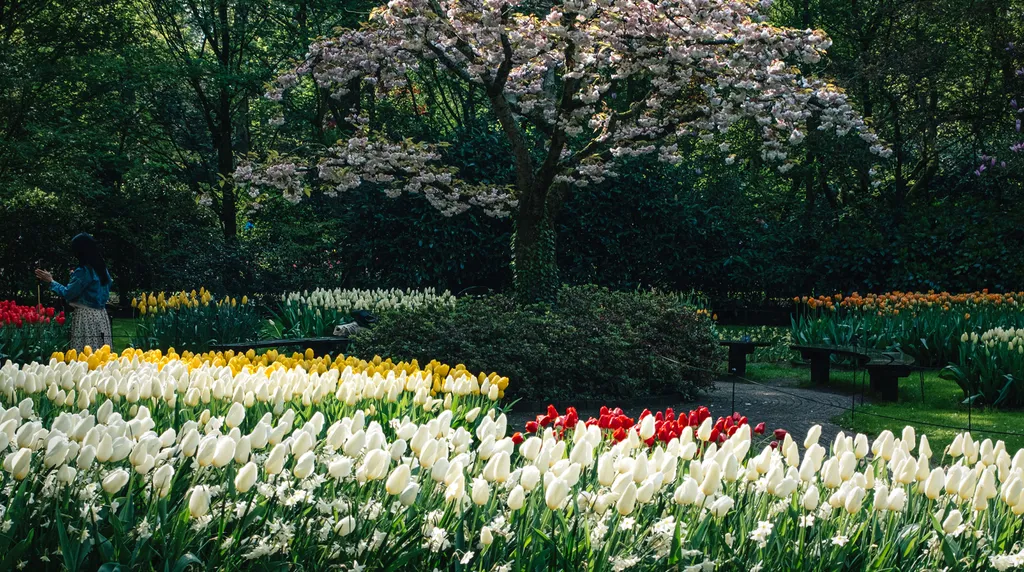 keukenhof-landgoed-cees-sel_2-21-3.jpg