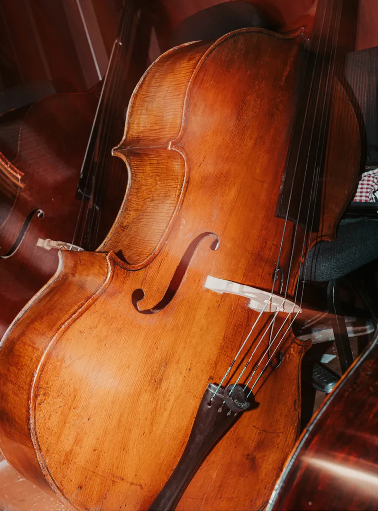 violin.jpg